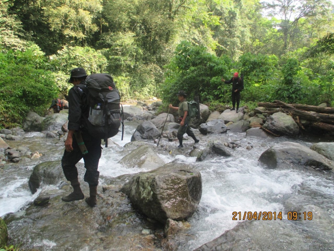 Forest and Wildlife Protection Unit