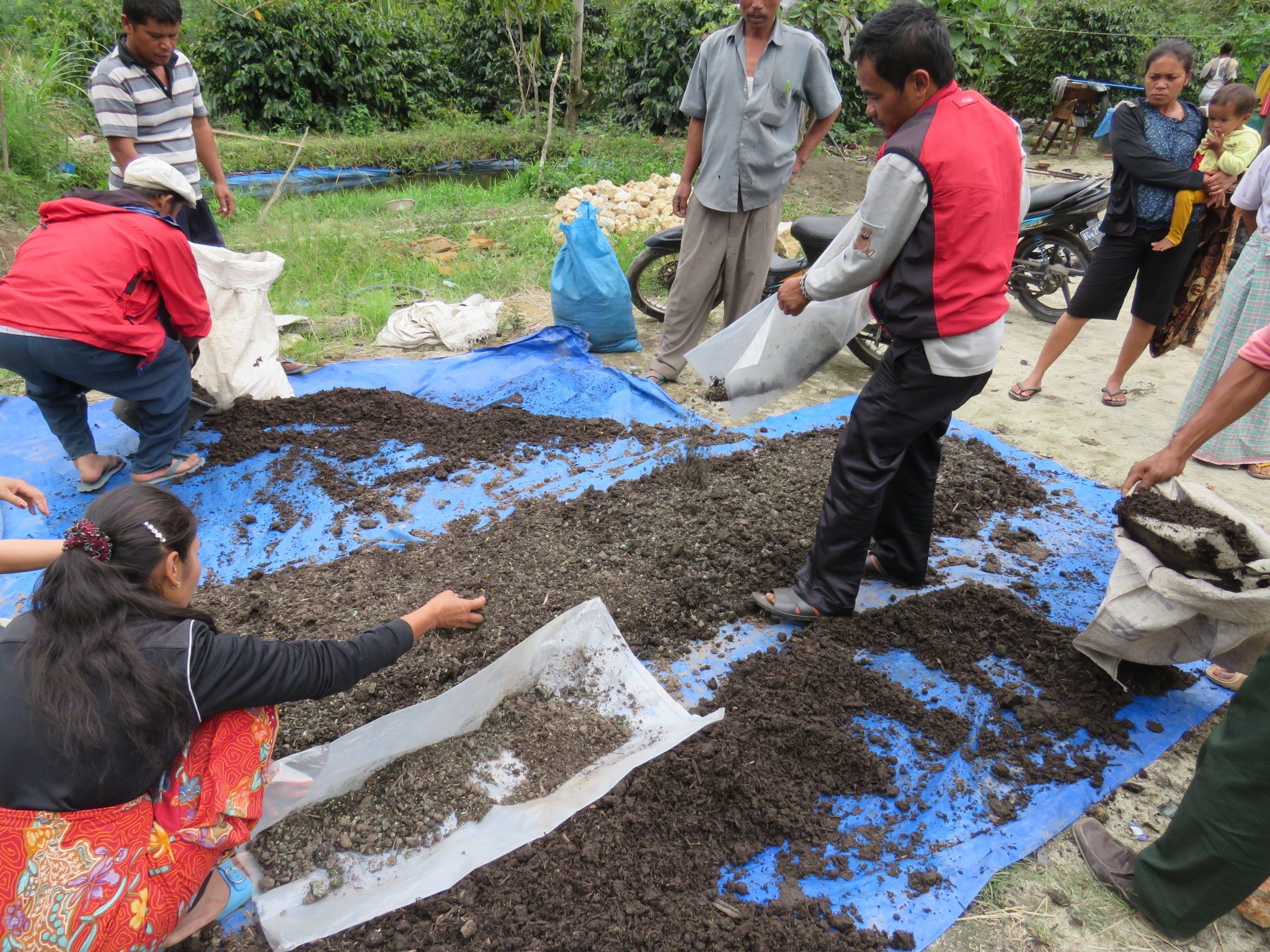 Capacity Building Programme for Coffee Farmers