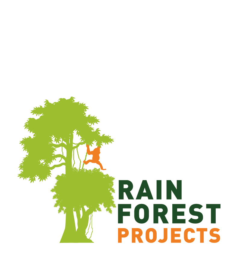 Rainforest Projects